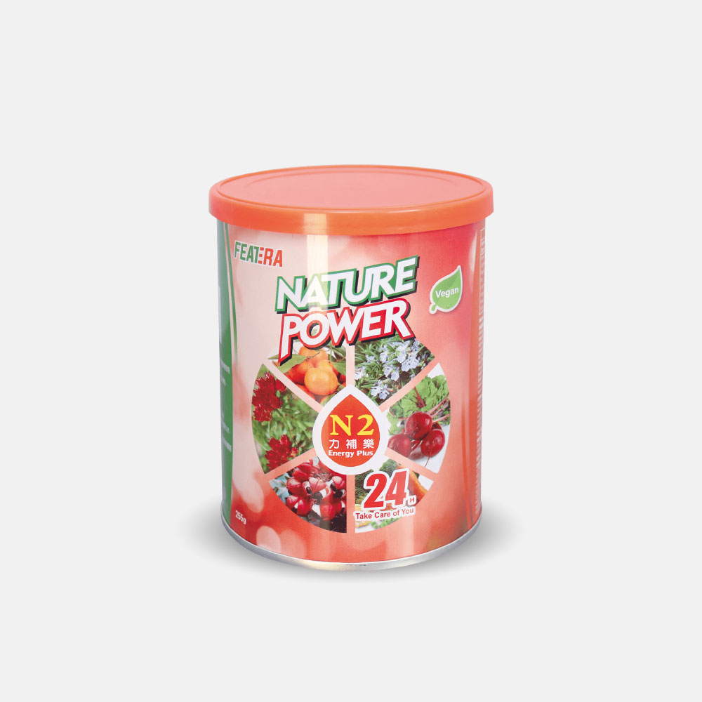 N2 Energy Plus